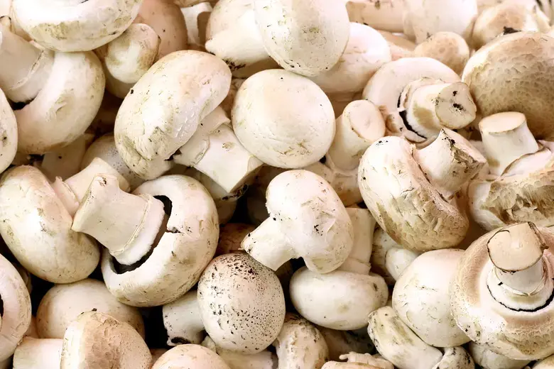 White Button Mushrooms